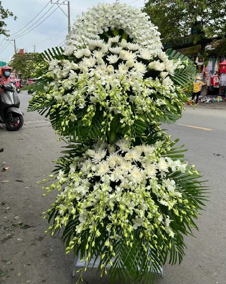 Hoa Tang Lễ (20)