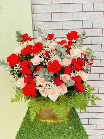 Shop Hoa Tươi Xã Xín Mần Tuyên Quang Miễn Phí Ship Nhanh