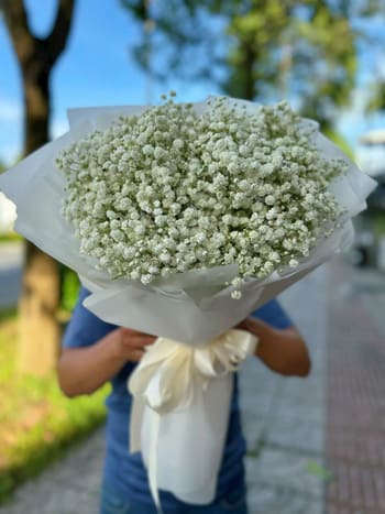 Shop Hoa Tươi Xã Quang Hưng Hưng Yên Giao Tận Nơi