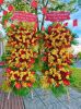 shop-hoa-tuoi-xa-phu-duc-hung-yen-mien-phi-giao-hoa-nhanh - ảnh nhỏ  1