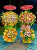 shop-hoa-tuoi-xa-than-khe-hung-yen-freeship-hoa-tuoi-hoa-toc - ảnh nhỏ  1