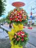 shop-hoa-tuoi-xa-binh-an-ninh-binh-mien-phi-ship-90-phut - ảnh nhỏ  1
